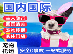 海北祁连航空空运国际宠物托运 【国